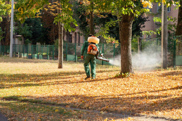 Best Pest Removal Services  in Val Verde, CA