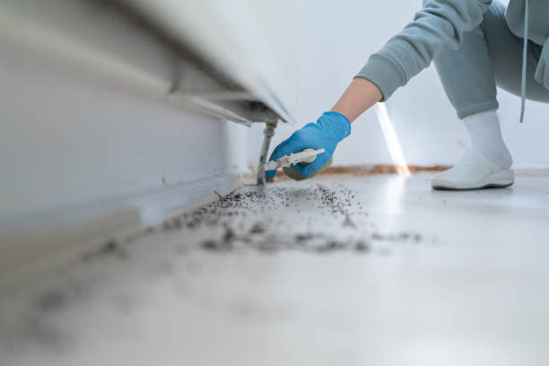 Wildlife Control Services in Val Verde, CA